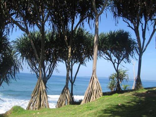 Bk Homestay, Batukaras المظهر الخارجي الصورة